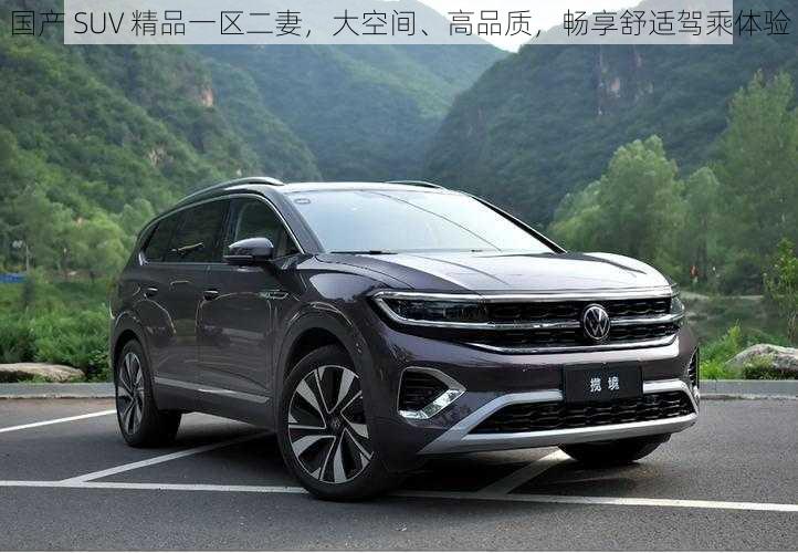 国产 SUV 精品一区二妻，大空间、高品质，畅享舒适驾乘体验