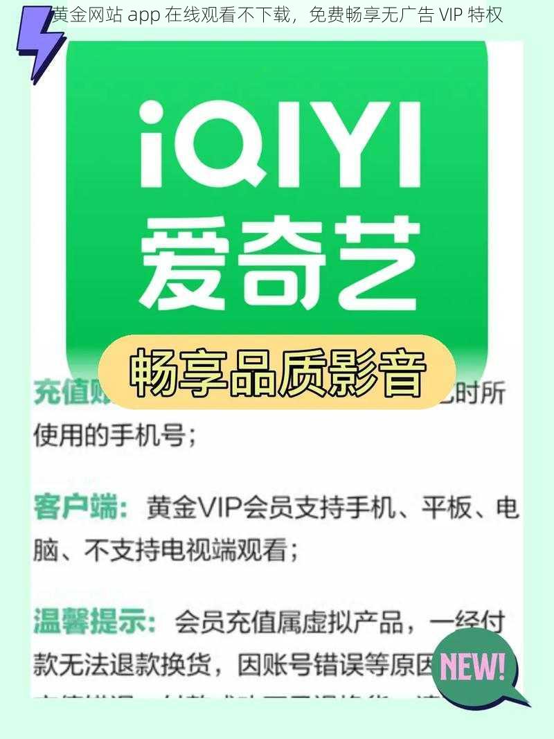 黄金网站 app 在线观看不下载，免费畅享无广告 VIP 特权