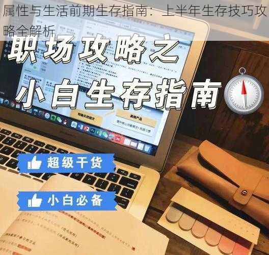 属性与生活前期生存指南：上半年生存技巧攻略全解析