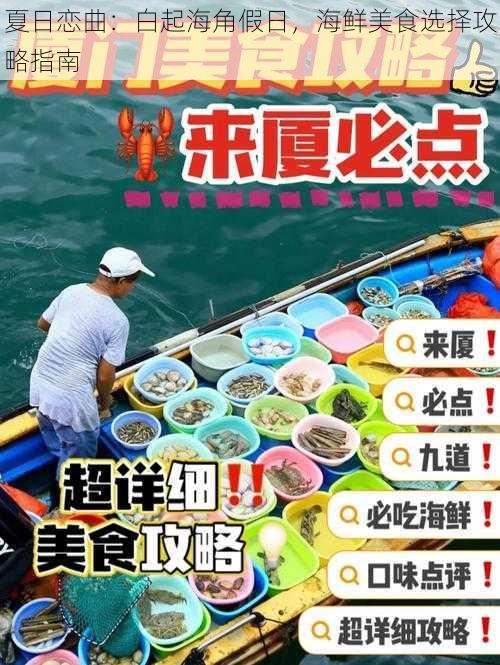 夏日恋曲：白起海角假日，海鲜美食选择攻略指南