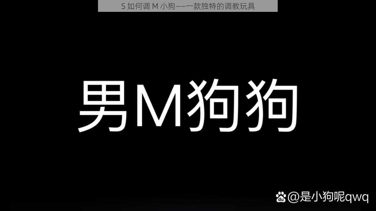 S 如何调 M 小狗——一款独特的调教玩具