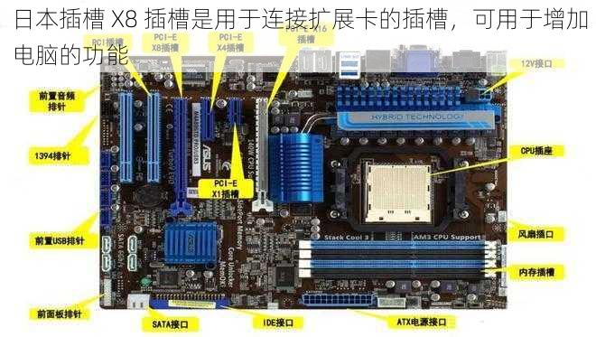 日本插槽 X8 插槽是用于连接扩展卡的插槽，可用于增加电脑的功能