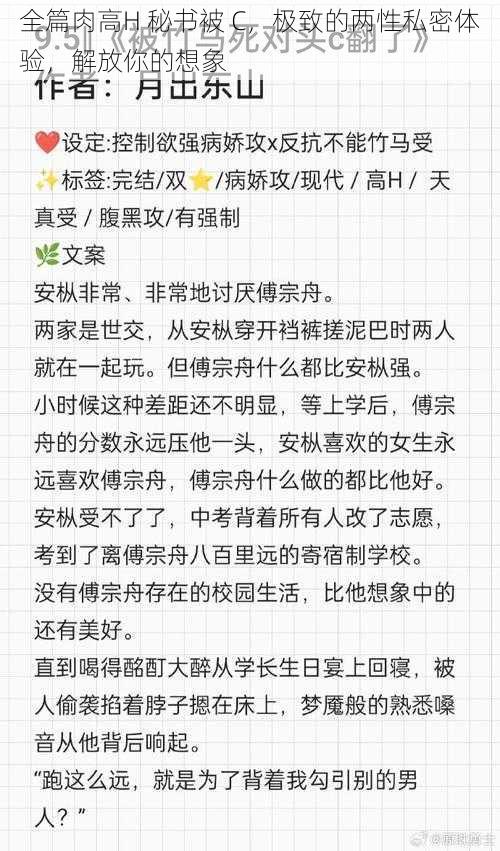 全篇肉高H 秘书被 C，极致的两性私密体验，解放你的想象