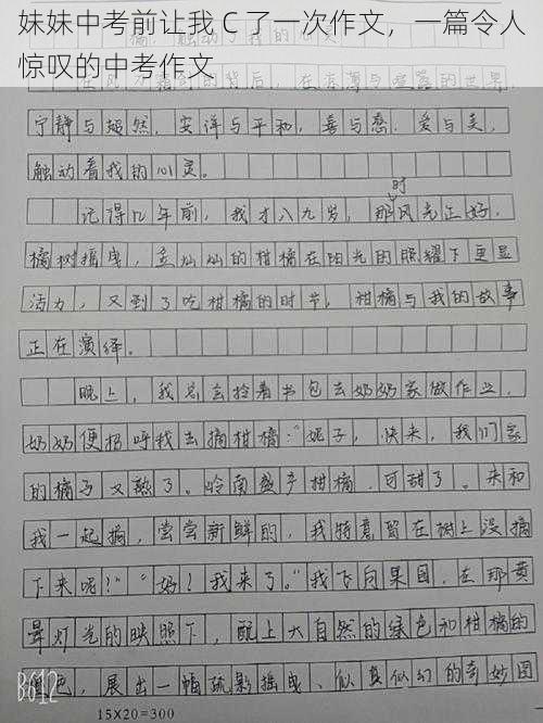 妹妹中考前让我 C 了一次作文，一篇令人惊叹的中考作文