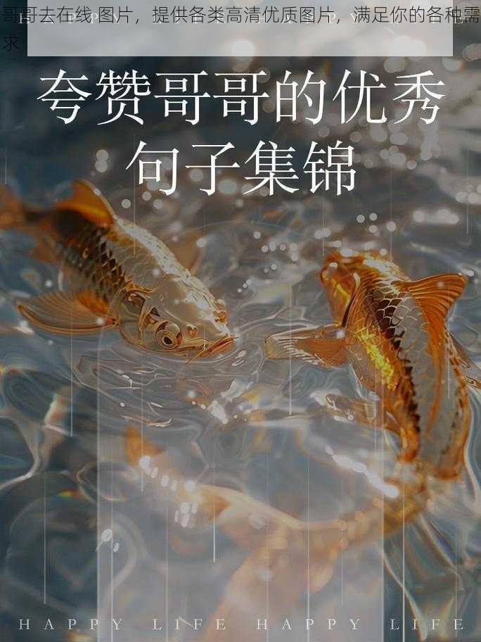 哥哥去在线 图片，提供各类高清优质图片，满足你的各种需求