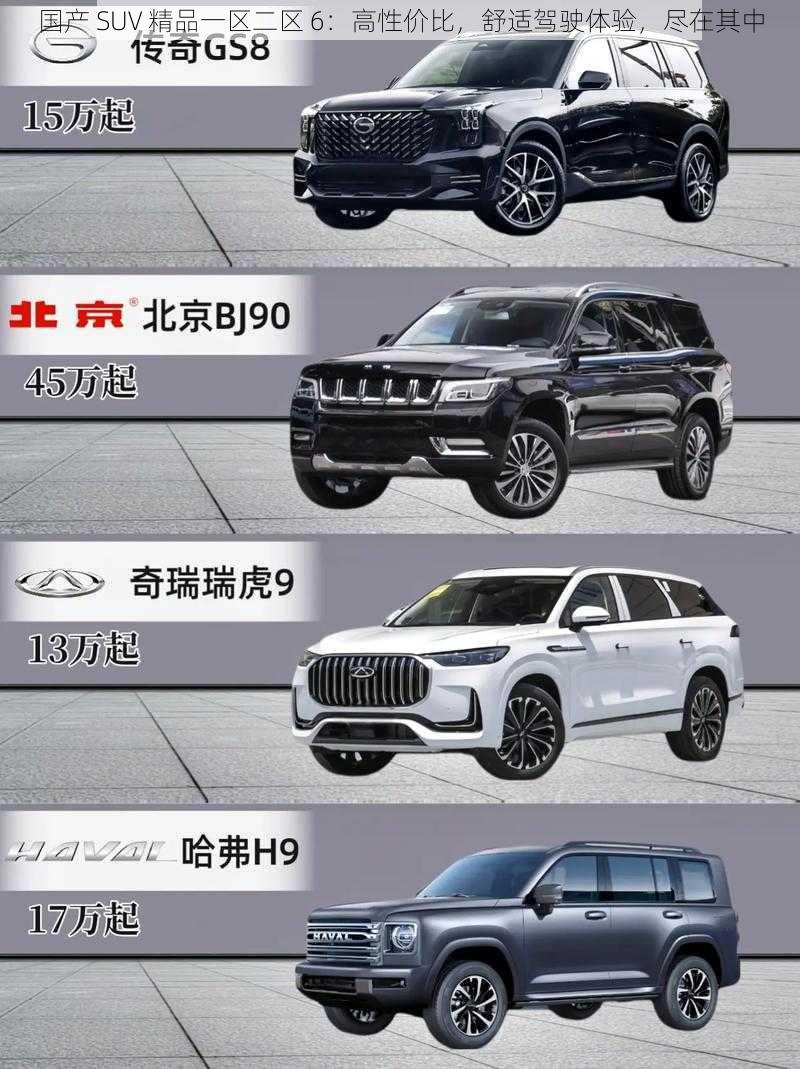 国产 SUV 精品一区二区 6：高性价比，舒适驾驶体验，尽在其中