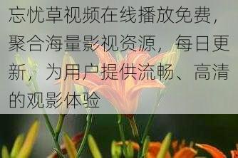 忘忧草视频在线播放免费，聚合海量影视资源，每日更新，为用户提供流畅、高清的观影体验