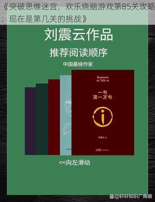 《突破思维迷宫，欢乐烧脑游戏第85关攻略：现在是第几关的挑战》