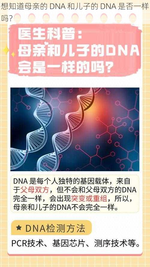 想知道母亲的 DNA 和儿子的 DNA 是否一样吗？