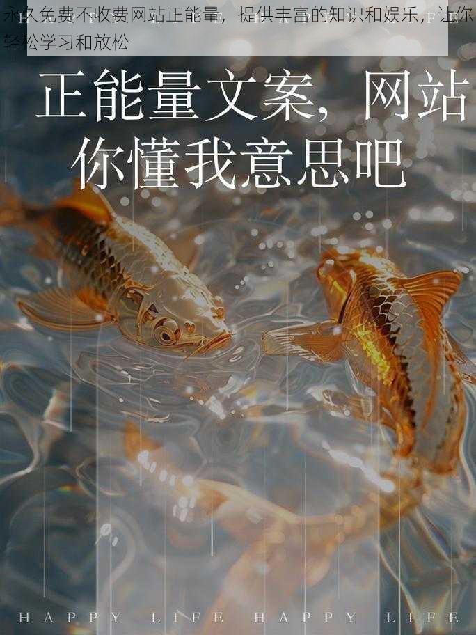 永久免费不收费网站正能量，提供丰富的知识和娱乐，让你轻松学习和放松