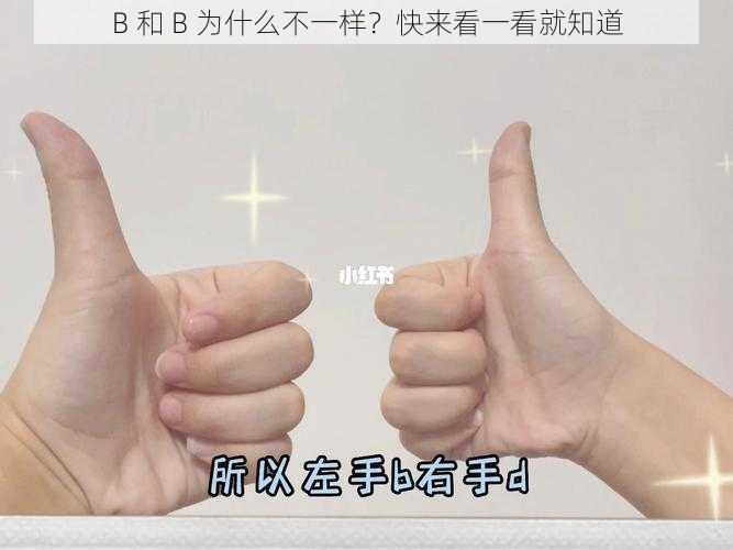 B 和 B 为什么不一样？快来看一看就知道