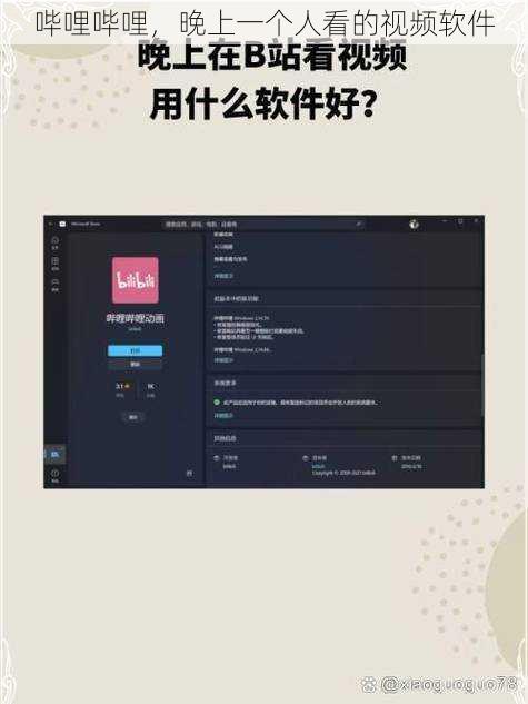 哔哩哔哩，晚上一个人看的视频软件