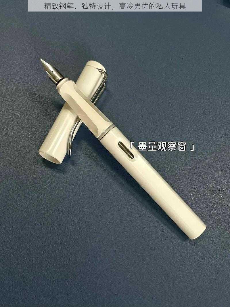 精致钢笔，独特设计，高冷男优的私人玩具