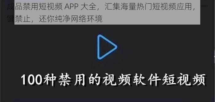 成品禁用短视频 APP 大全，汇集海量热门短视频应用，一键禁止，还你纯净网络环境