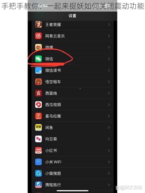 手把手教你：一起来捉妖如何关闭震动功能