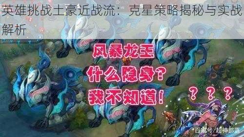 英雄挑战土豪近战流：克星策略揭秘与实战解析