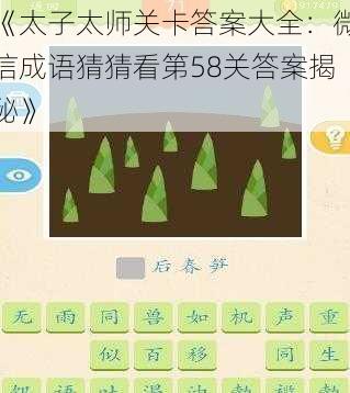 《太子太师关卡答案大全：微信成语猜猜看第58关答案揭秘》