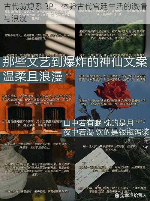 古代翁熄系 3P：体验古代宫廷生活的激情与浪漫