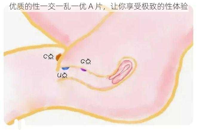 优质的性一交一乱一优 A 片，让你享受极致的性体验