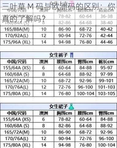 三叶草 M 码与欧洲码的区别：你真的了解吗？