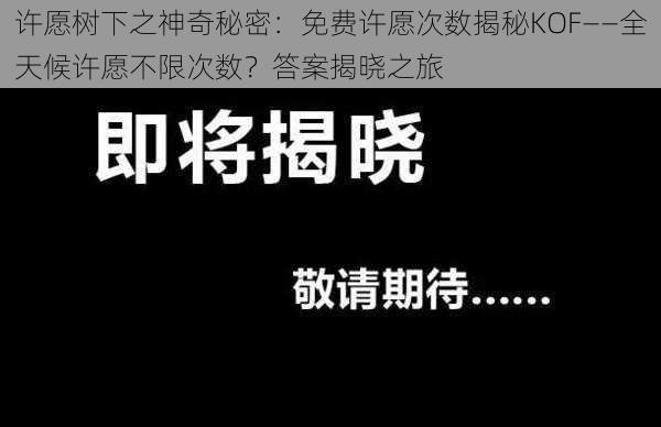 许愿树下之神奇秘密：免费许愿次数揭秘KOF——全天候许愿不限次数？答案揭晓之旅