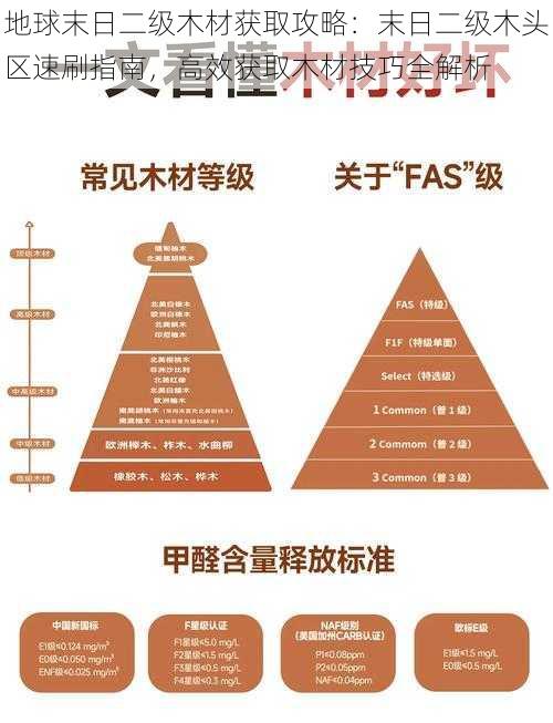 地球末日二级木材获取攻略：末日二级木头区速刷指南，高效获取木材技巧全解析