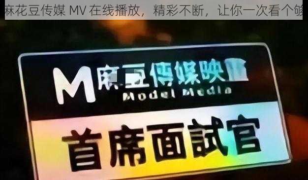 麻花豆传媒 MV 在线播放，精彩不断，让你一次看个够