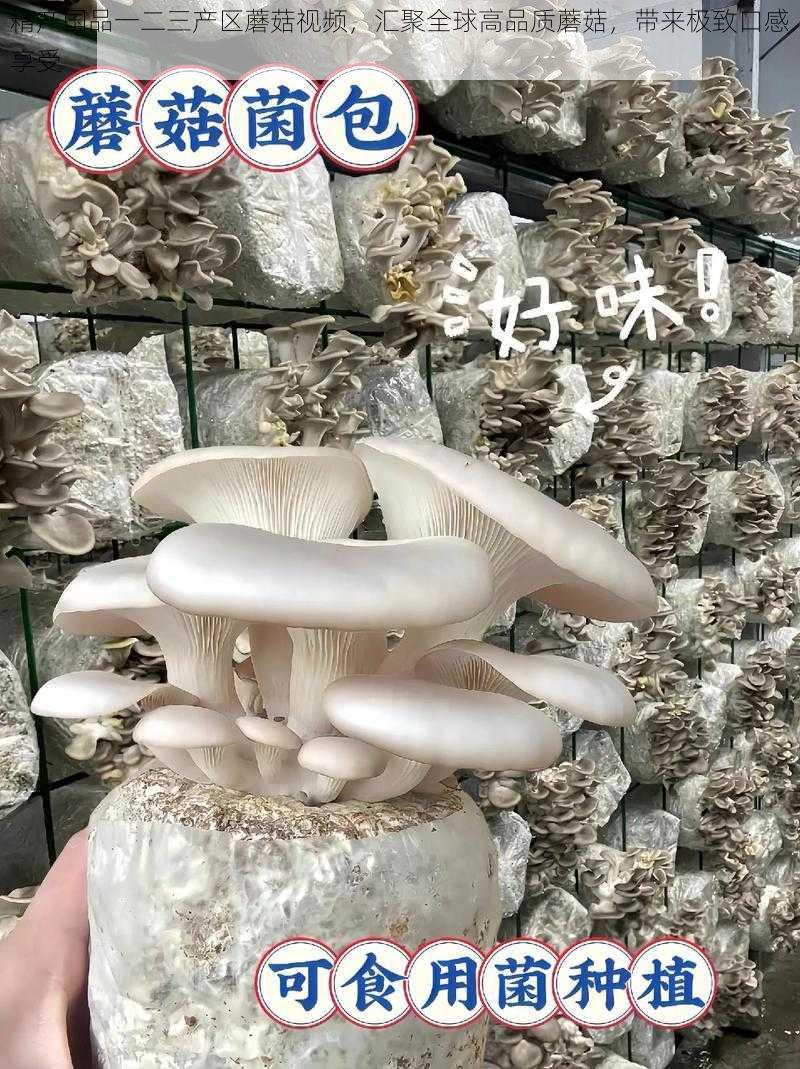 精产国品一二三产区蘑菇视频，汇聚全球高品质蘑菇，带来极致口感享受