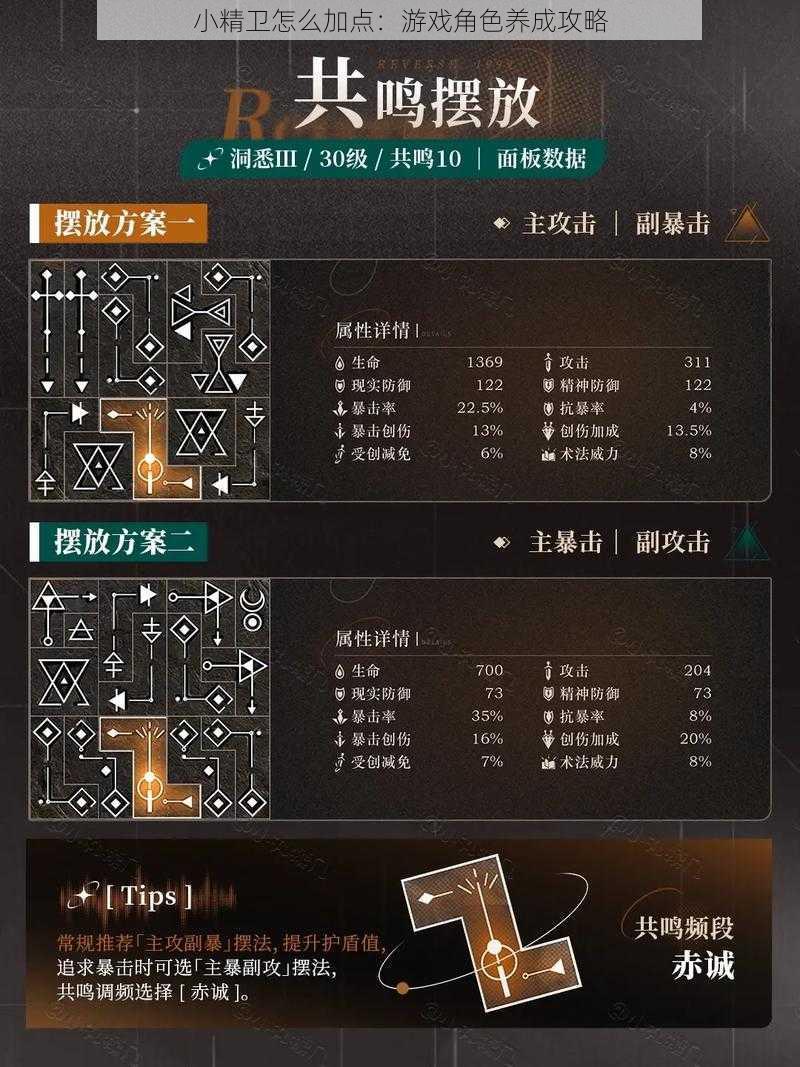 小精卫怎么加点：游戏角色养成攻略