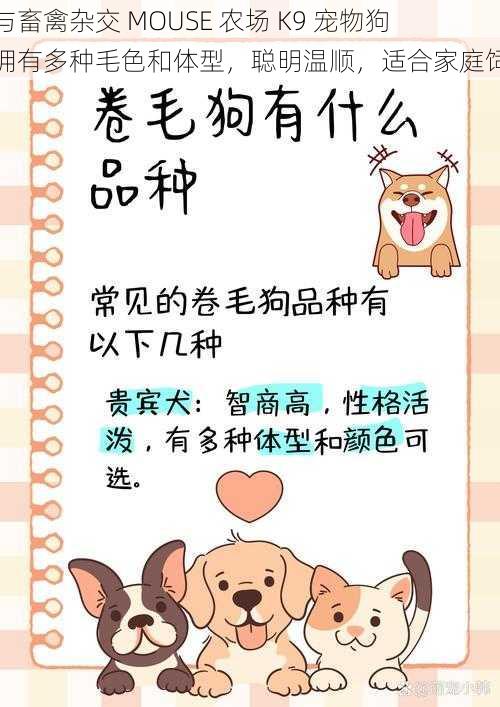 人与畜禽杂交 MOUSE 农场 K9 宠物狗，拥有多种毛色和体型，聪明温顺，适合家庭饲养