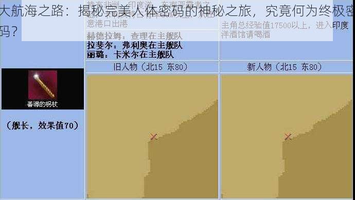 大航海之路：揭秘完美人体密码的神秘之旅，究竟何为终极密码？