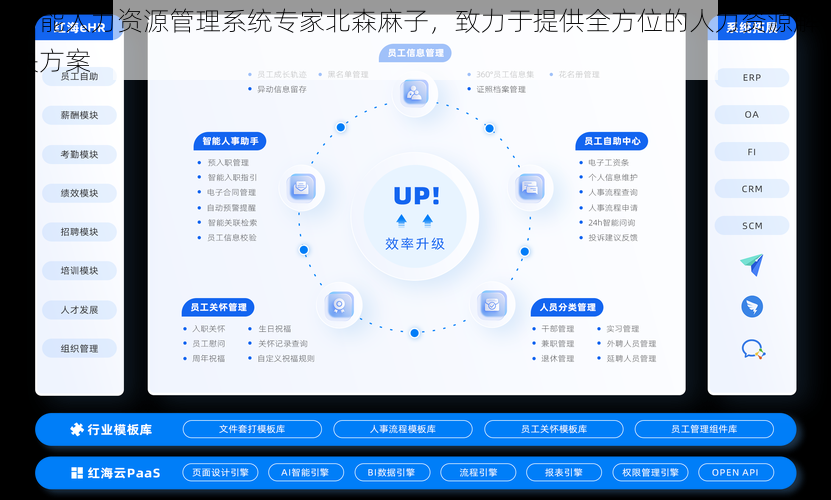智能人力资源管理系统专家北森麻子，致力于提供全方位的人力资源解决方案