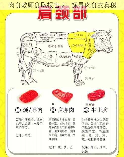 肉食教师食取报告 2：探寻肉食的奥秘