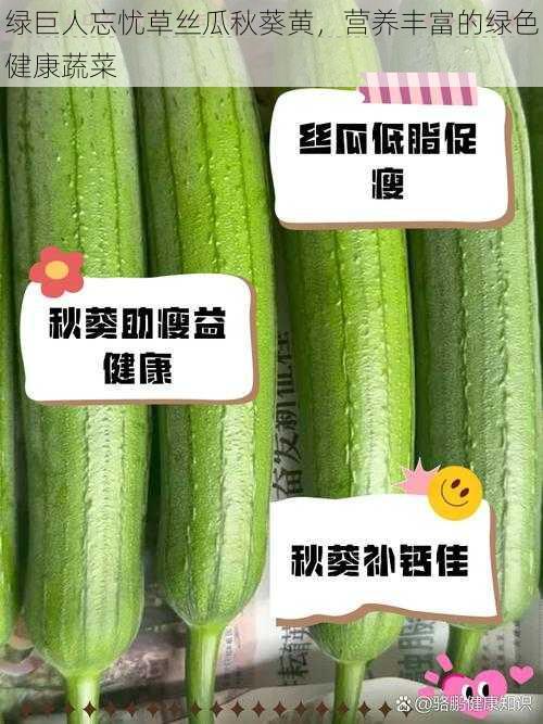 绿巨人忘忧草丝瓜秋葵黄，营养丰富的绿色健康蔬菜