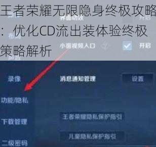 王者荣耀无限隐身终极攻略：优化CD流出装体验终极策略解析