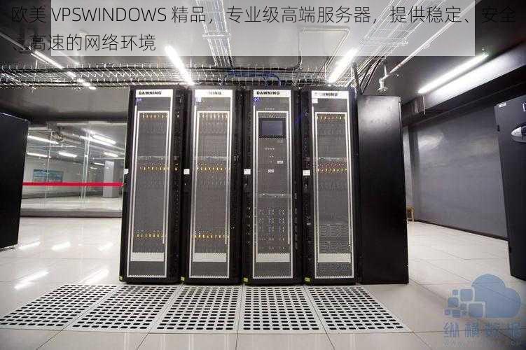 欧美 VPSWINDOWS 精品，专业级高端服务器，提供稳定、安全、高速的网络环境