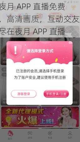 夜月 APP 直播免费，高清画质，互动交友，尽在夜月 APP 直播