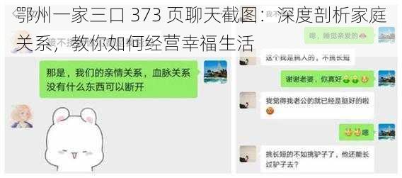 鄂州一家三口 373 页聊天截图：深度剖析家庭关系，教你如何经营幸福生活