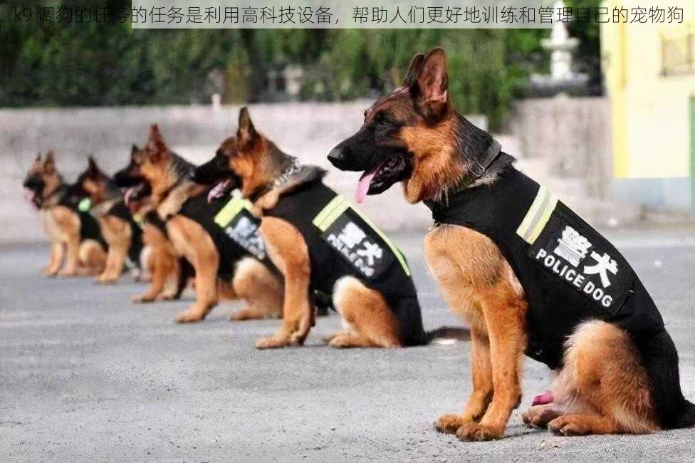 k9 调狗的任务的任务是利用高科技设备，帮助人们更好地训练和管理自己的宠物狗