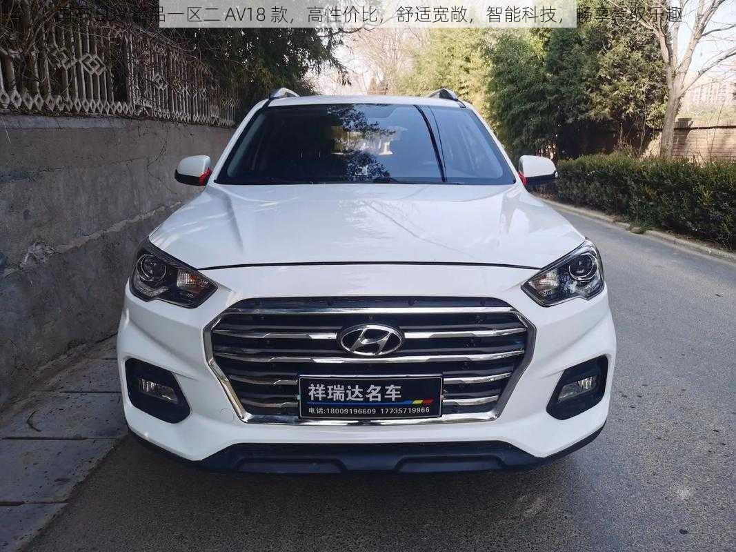 国产 SUV 精品一区二 AV18 款，高性价比，舒适宽敞，智能科技，畅享驾驭乐趣