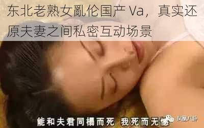 东北老熟女亂伦国产 Va，真实还原夫妻之间私密互动场景