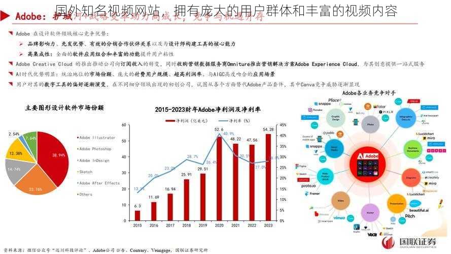 国外知名视频网站，拥有庞大的用户群体和丰富的视频内容