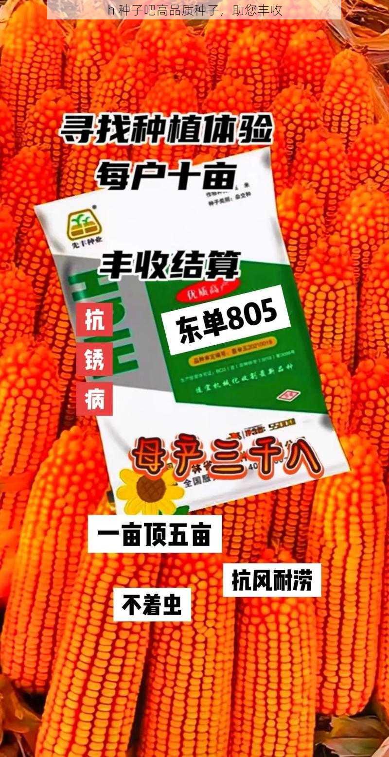 h 种子吧高品质种子，助您丰收