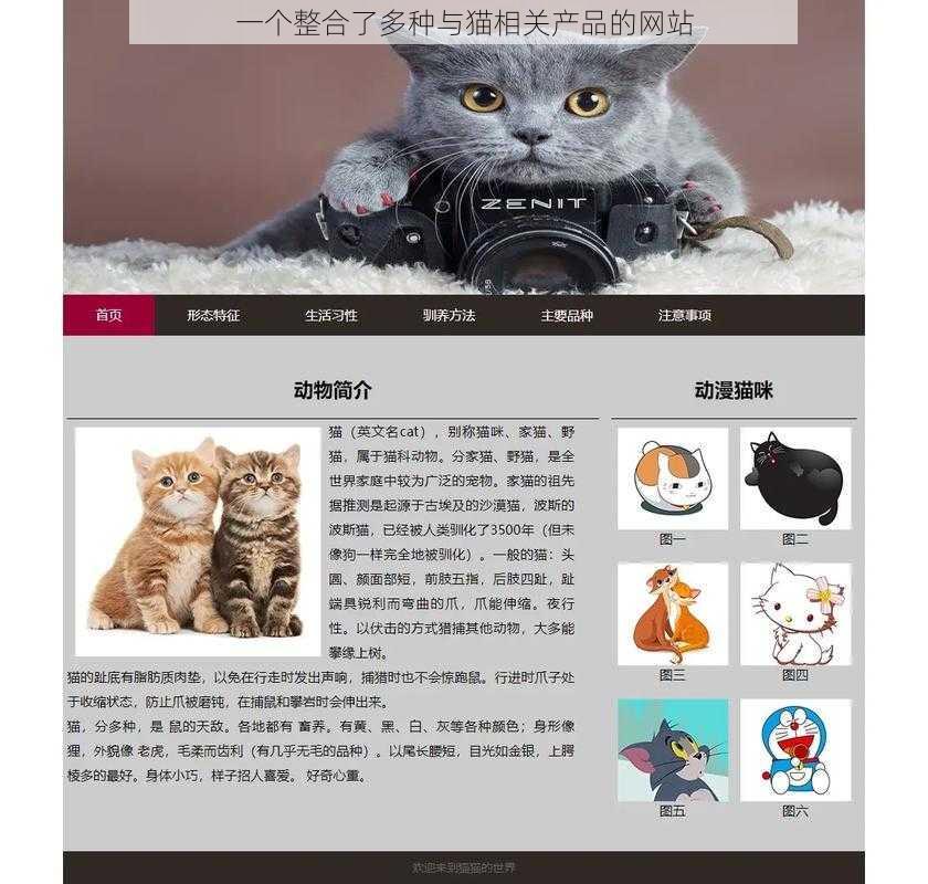 一个整合了多种与猫相关产品的网站