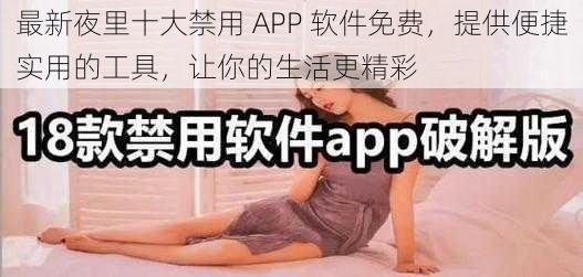 最新夜里十大禁用 APP 软件免费，提供便捷实用的工具，让你的生活更精彩