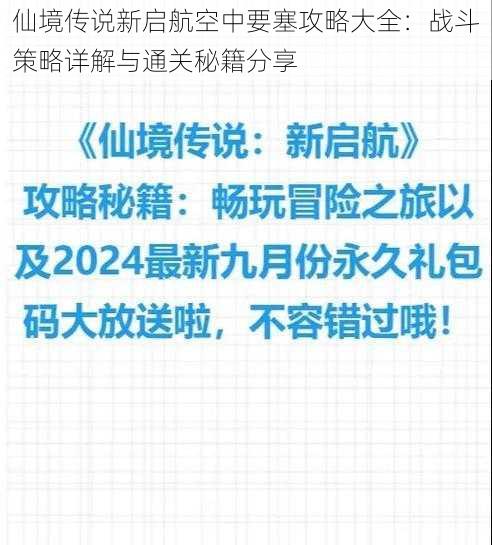 仙境传说新启航空中要塞攻略大全：战斗策略详解与通关秘籍分享