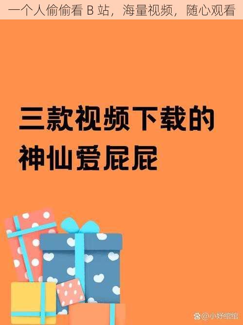 一个人偷偷看 B 站，海量视频，随心观看