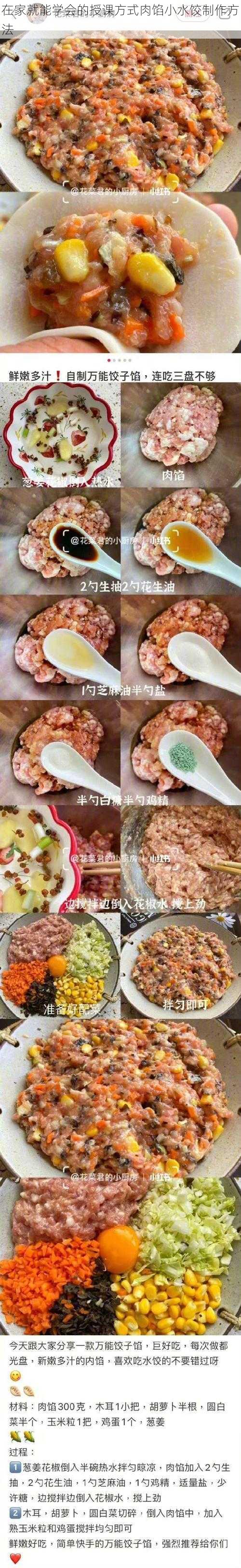 在家就能学会的授课方式肉馅小水饺制作方法