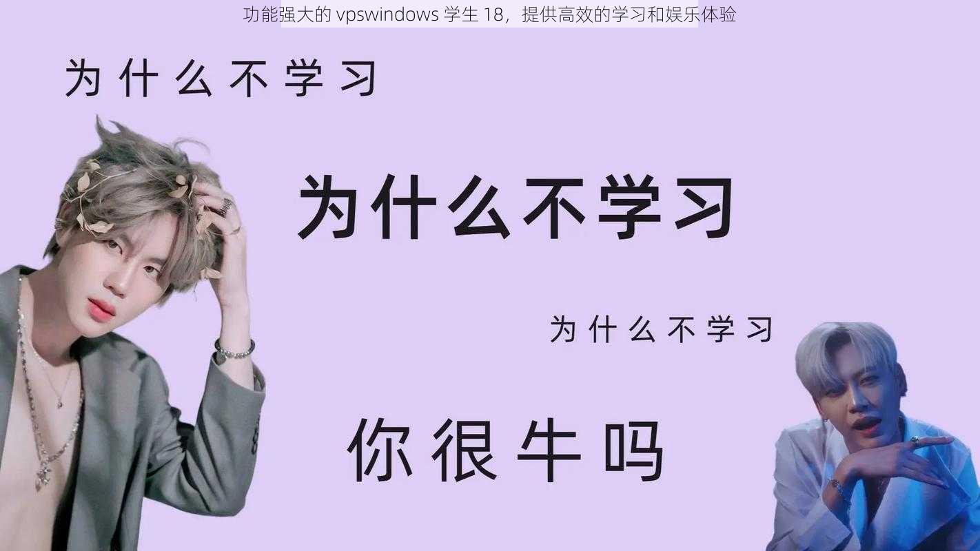 功能强大的 vpswindows 学生 18，提供高效的学习和娱乐体验