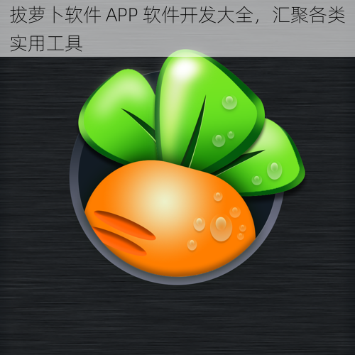 拔萝卜软件 APP 软件开发大全，汇聚各类实用工具